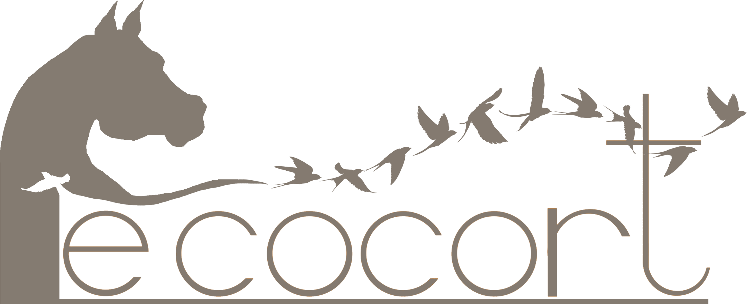 Le Cocort